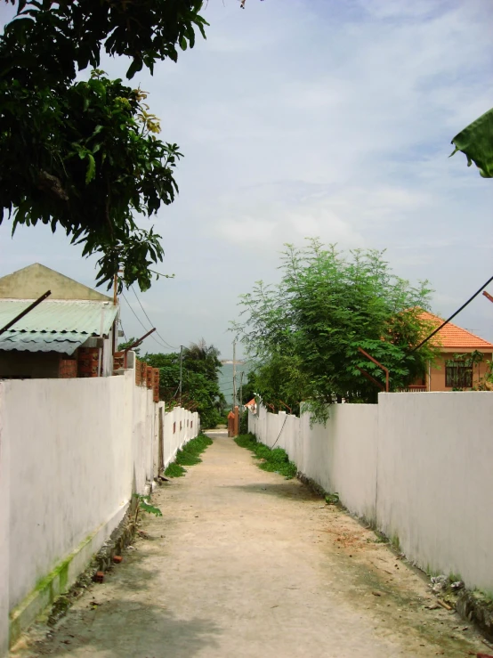 the dirt road is lined with houses and trees