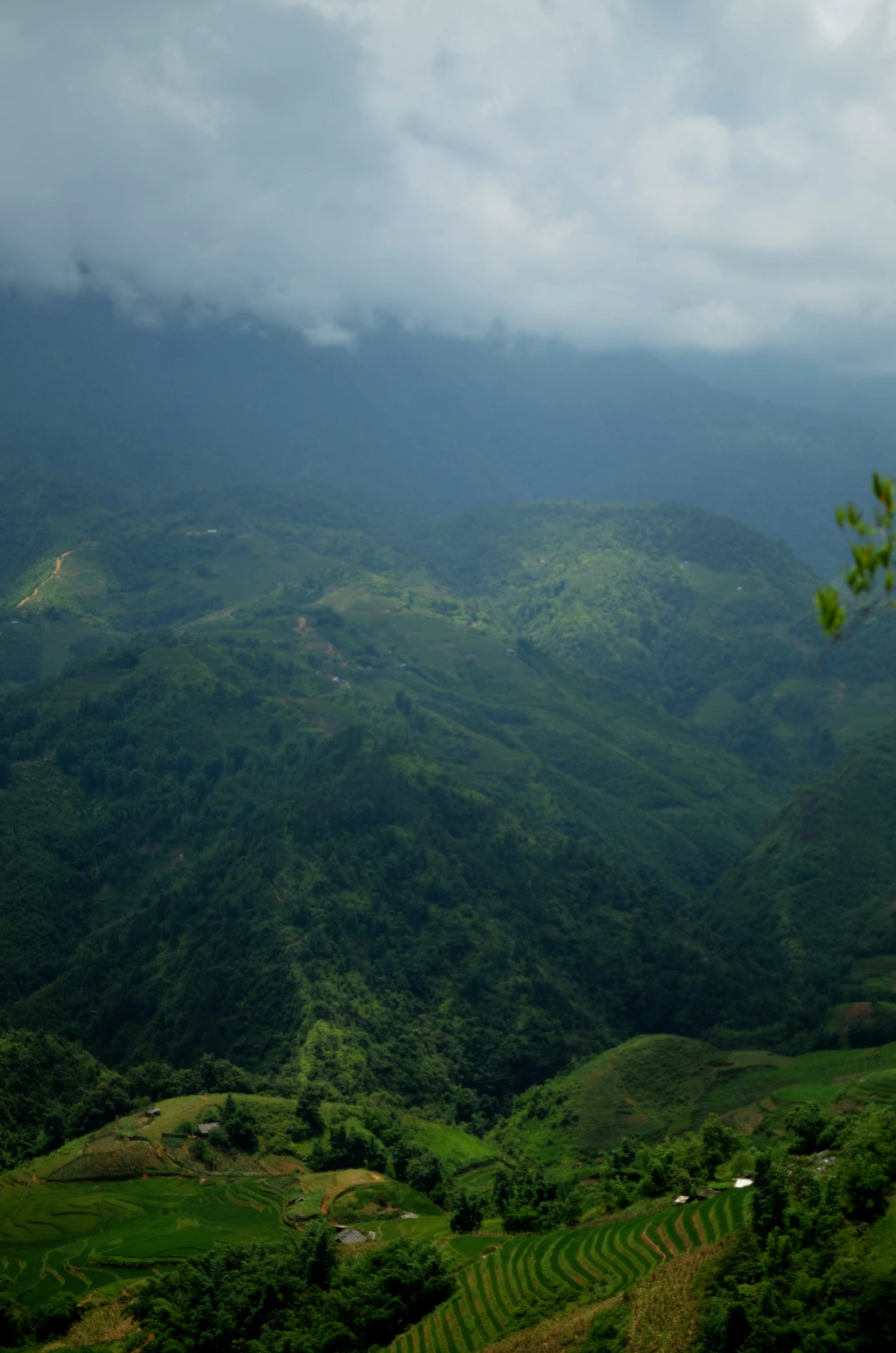 green mountains in the background are seen from a hilltop