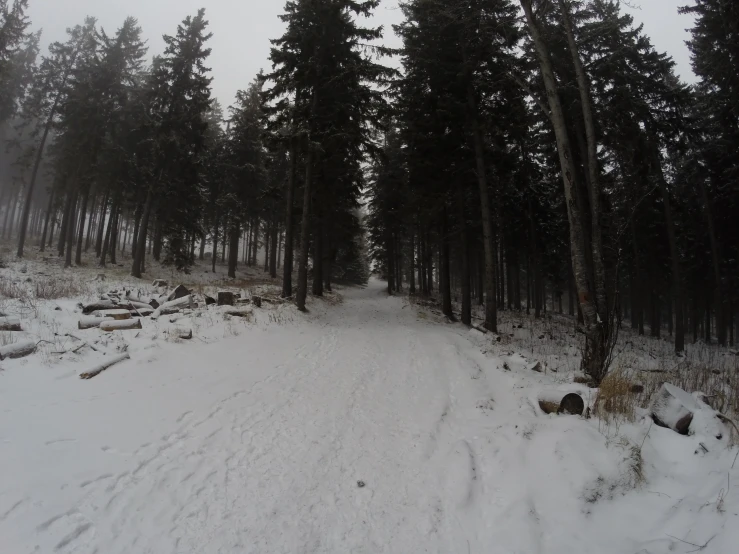 a snow covered path in the middle of some trees