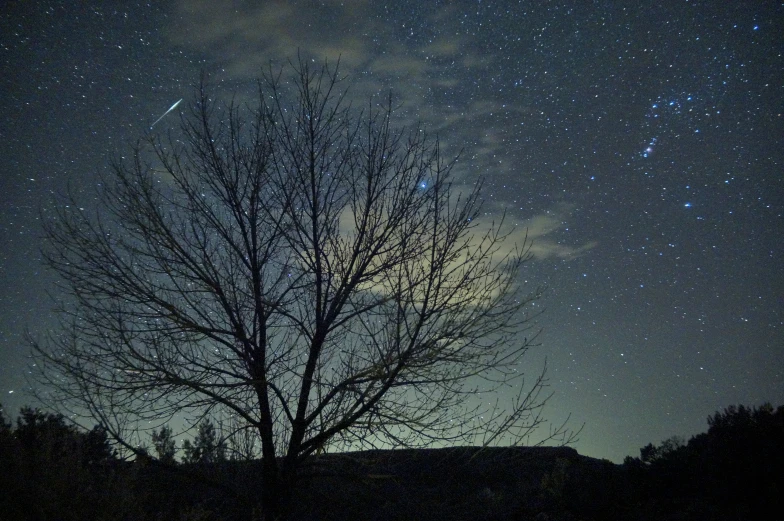 the stars of the night are shown on a tree in a field