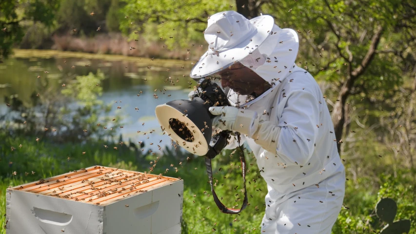 a man in bee clothes inspecting a honeycomb