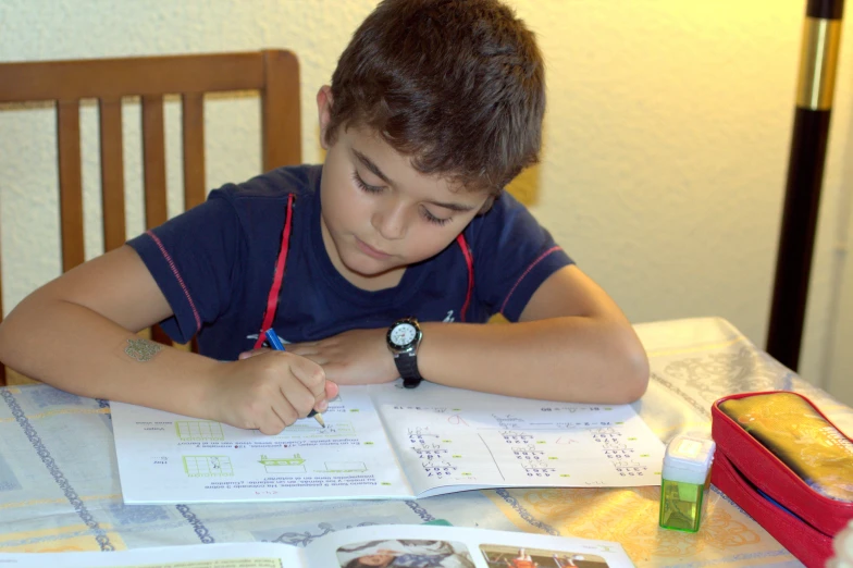 boy reading through an open notebook on his computer