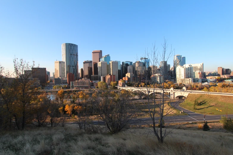 this is an urban area with trees, grass and a bridge in the foreground