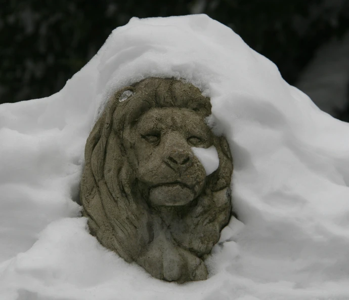 a fake animal lying down in the snow