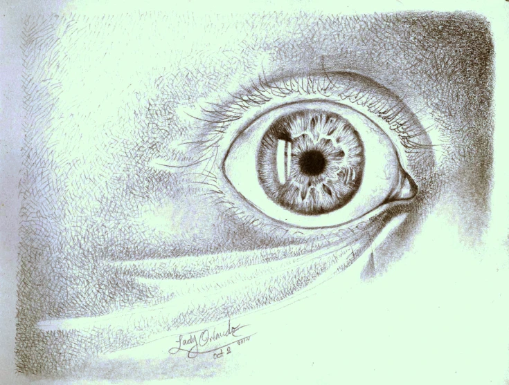 an image of a drawing of an eye that is in a pencil draw