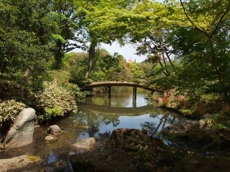 a creek in a park surrounded by trees and a bridge