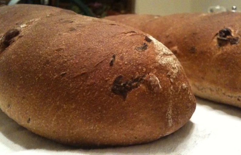 two loaves of bread with brown spots sit on a counter