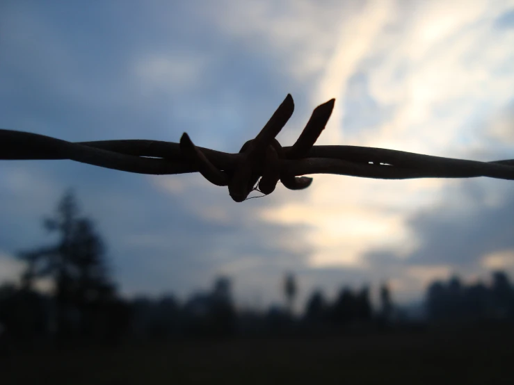 a black barbed wire with two blades and the sky in the background