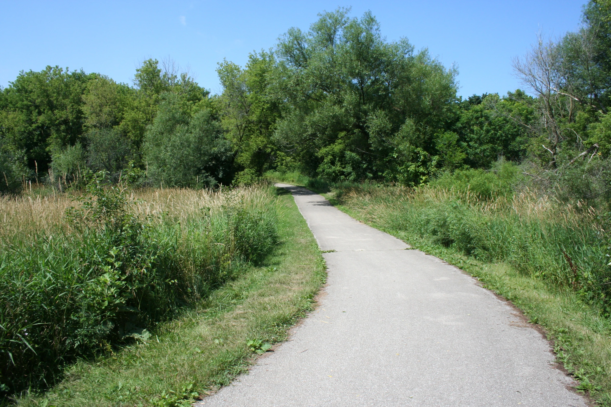 a path through some trees in a grassy field