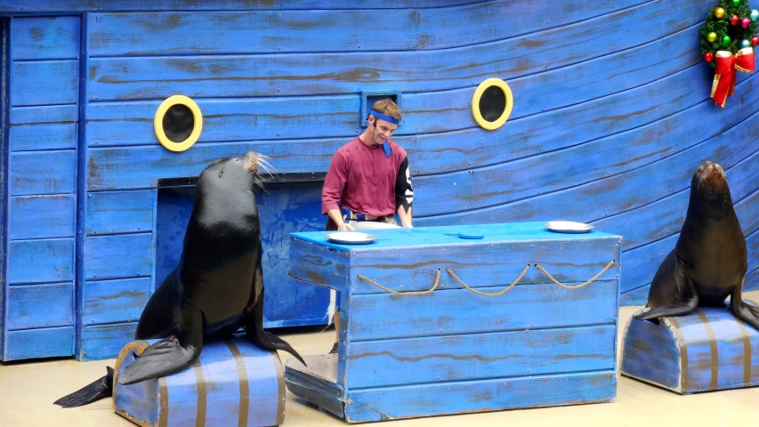 a man making some fun face painting with fake sea lions