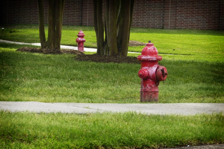 two red fire hydrants on the side of a road near some grass
