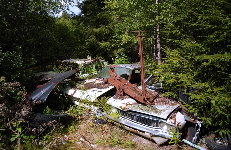 an abandoned car in a wooded area is pictured