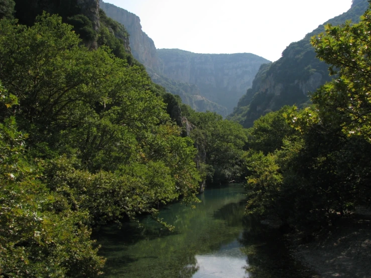 the river is running through a forested valley