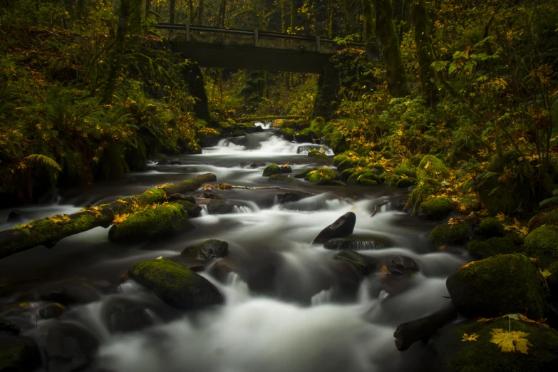 a river with water flowing between mossy rocks