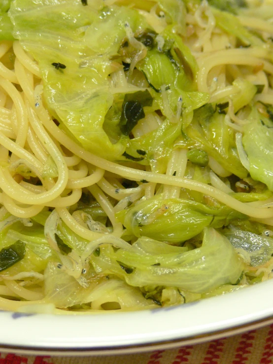 a plate full of pasta with broccoli and sauce