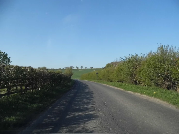 this is an asphalt road with trees lining the roadside