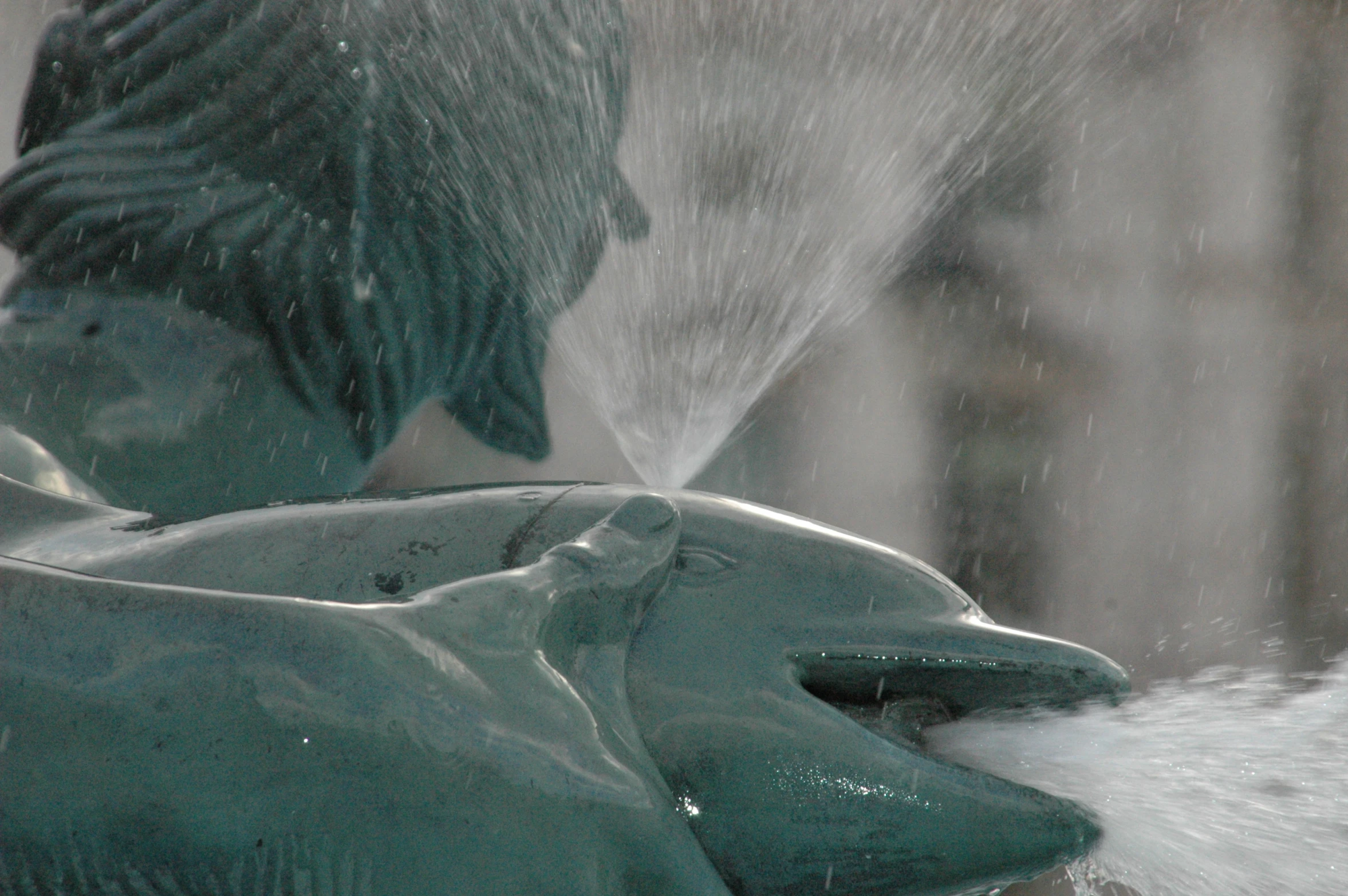 water coming from a green hose to a statue