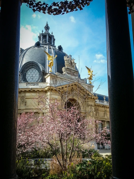 large building with clock on the top surrounded by flowers