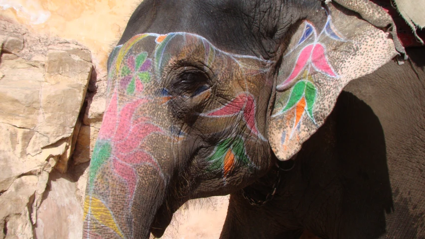 a colorful painted elephant stands behind rocks
