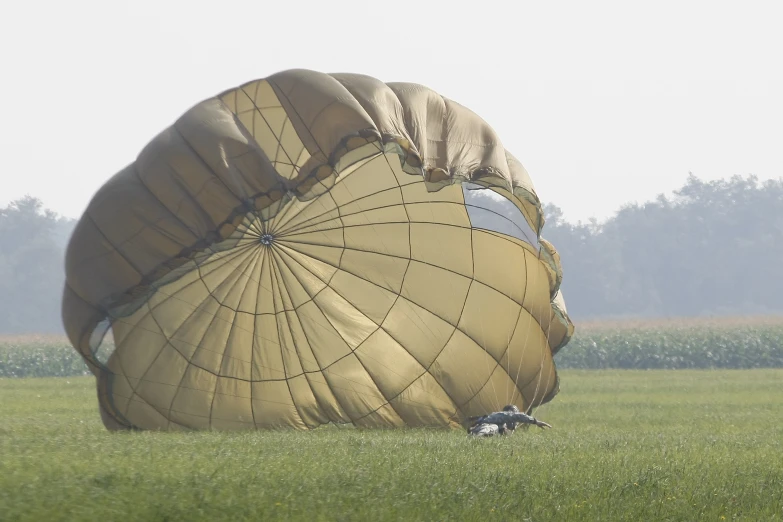 a huge  air balloon sitting in the middle of a field