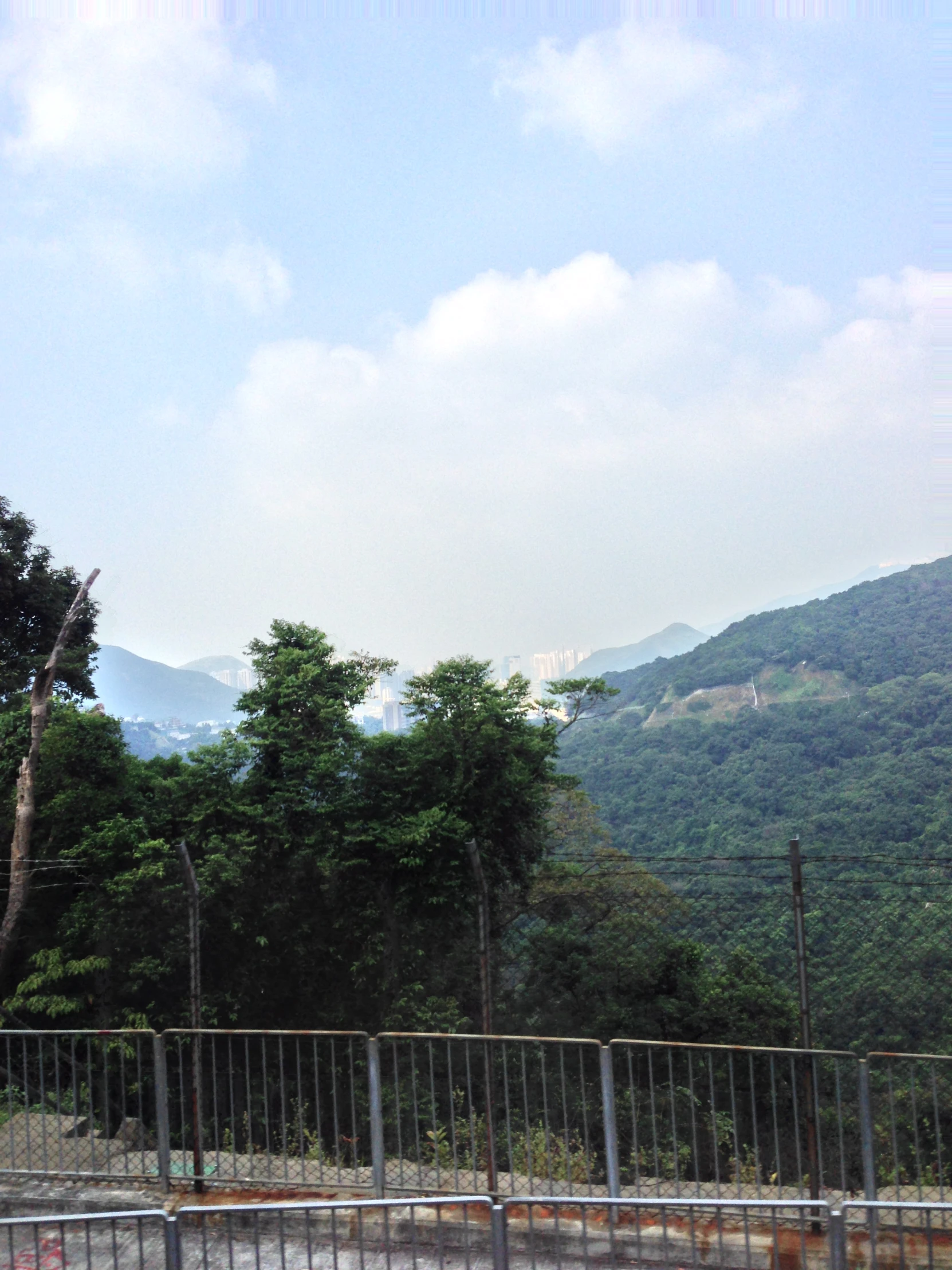 a fenced area next to trees with a mountain in the background