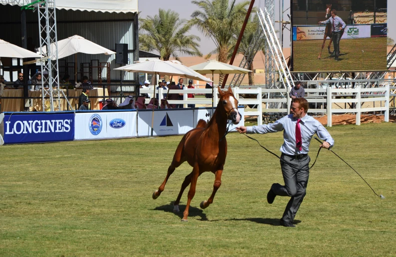 a man leading a horse in the field