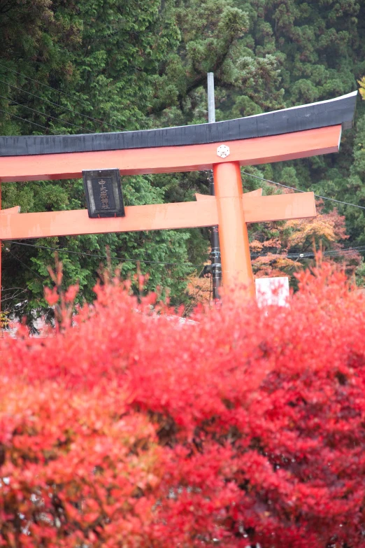 a large red wooden structure with trees in the background