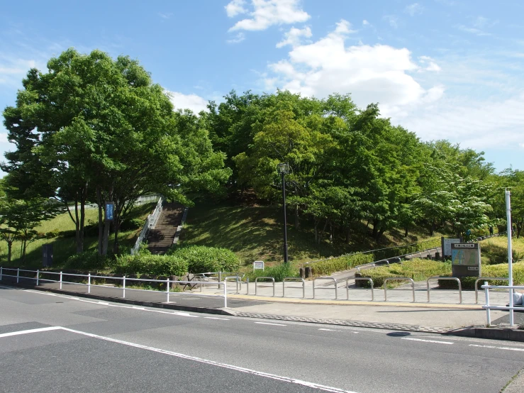 there is a tree lined road and street sign