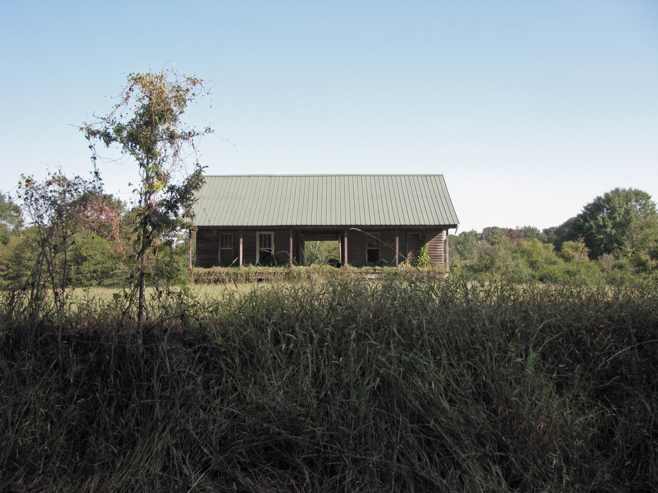 a building near some bushes in the wild