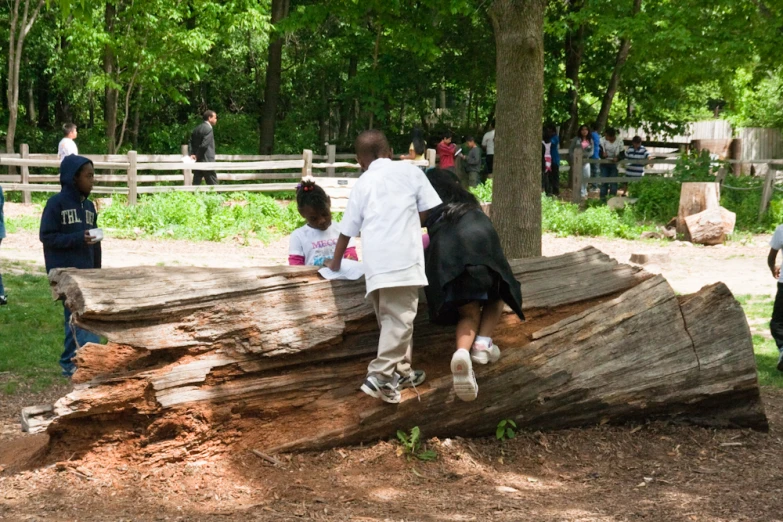 children on top of large pieces of tree trunks