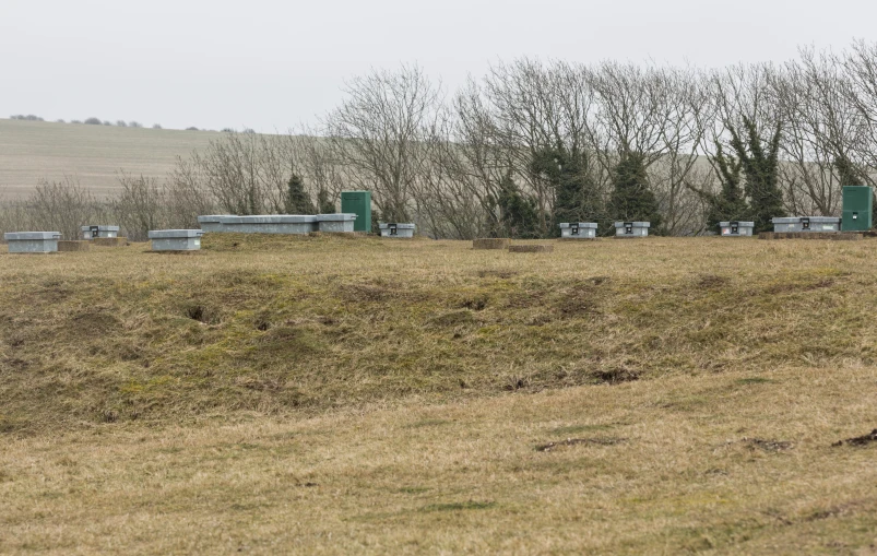 many beekeepers in a large grassy field are doing their job