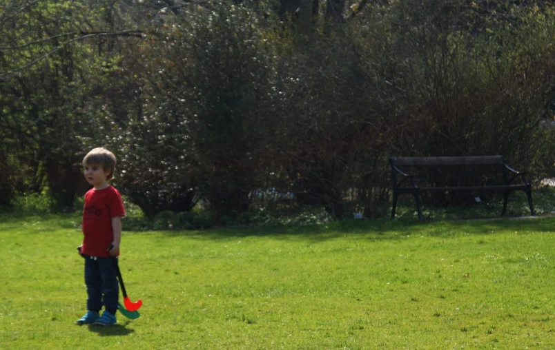 a  standing in the grass next to a bench