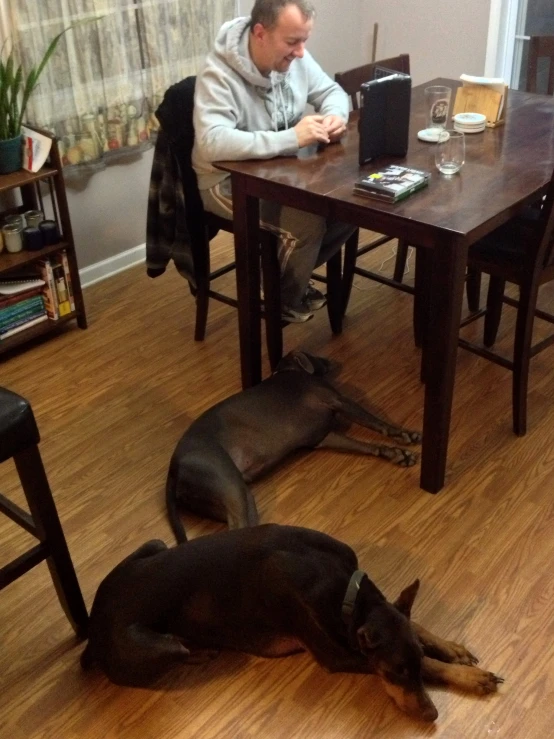 two dogs sleeping in the living room with one dog on the floor