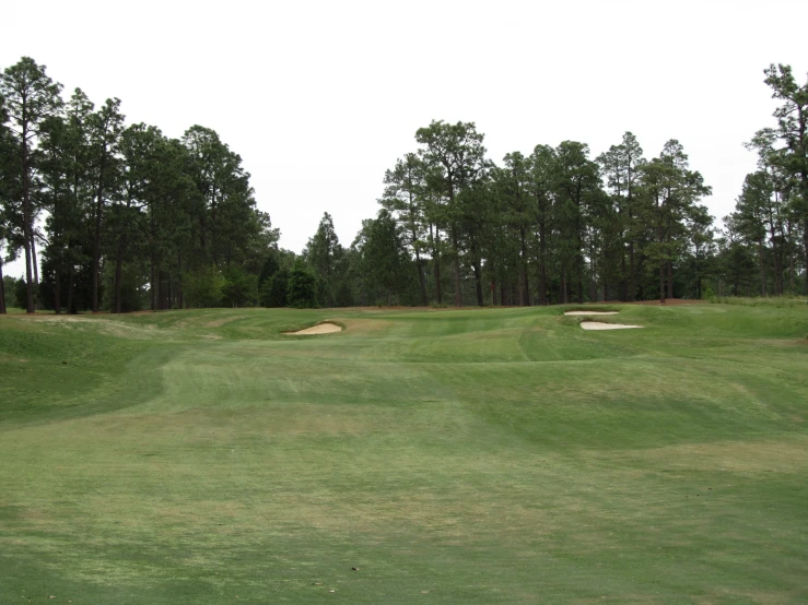 three holes at the golf course surrounded by trees