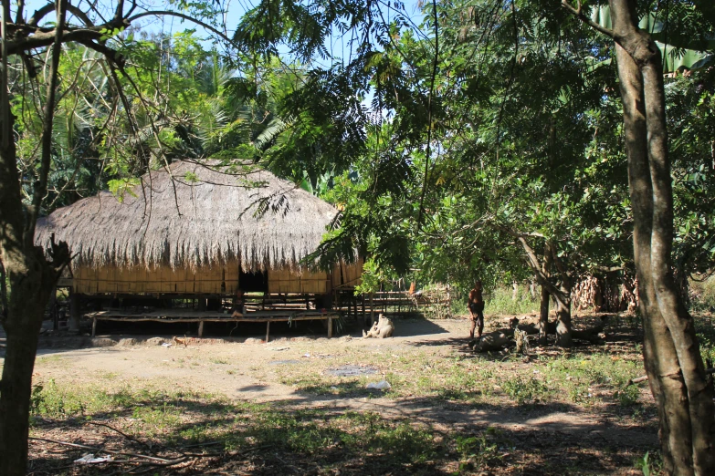 there are some huts set up in the woods