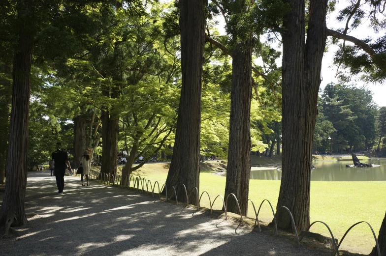 the pathway that is along the water leads to a grassy area with many trees