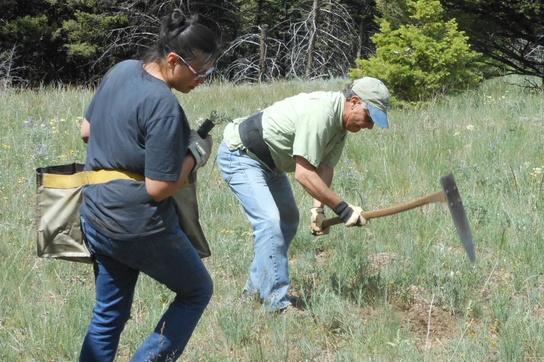 an elderly man digging in the field with an axue