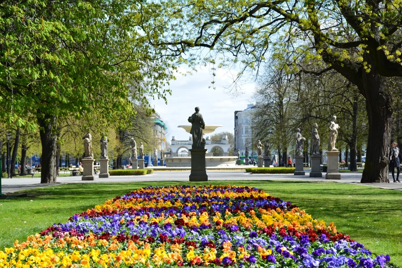 flowers that are sitting under a tree