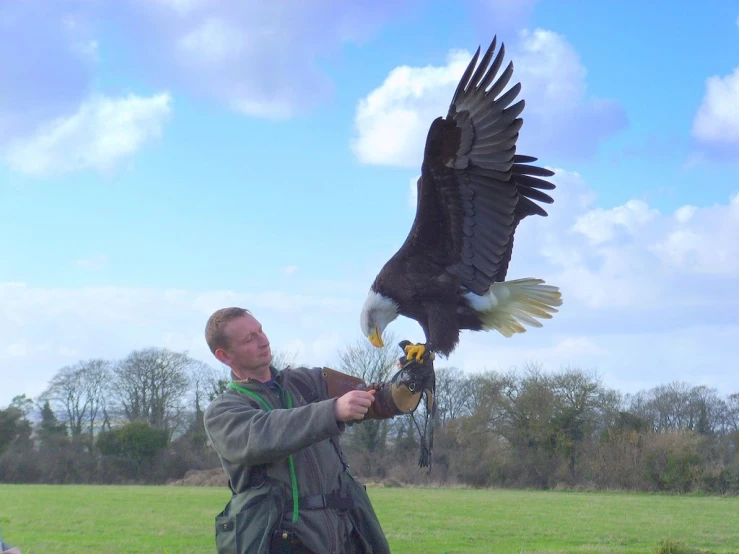 a man holding a bald eagle in his hands