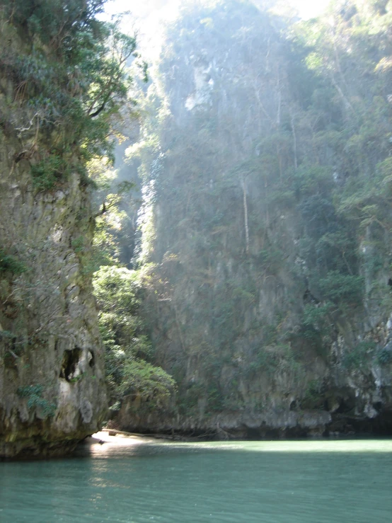 trees grow on a rocky wall above water