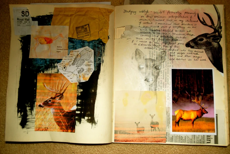 a book opened with paper and drawings of deer