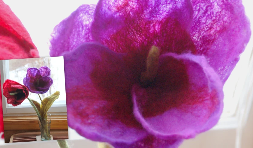 purple flowers stand next to a window