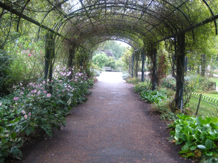 an archway covered in green foliage next to lush pink flowers