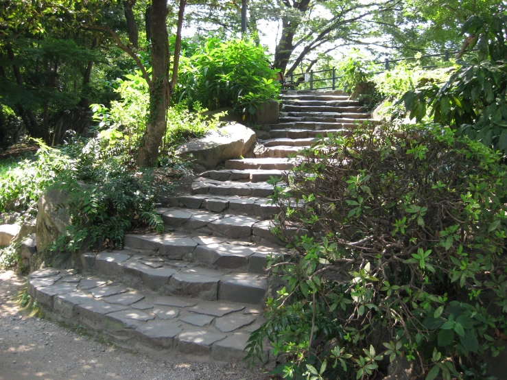 stone steps lead down to a walkway surrounded by plants