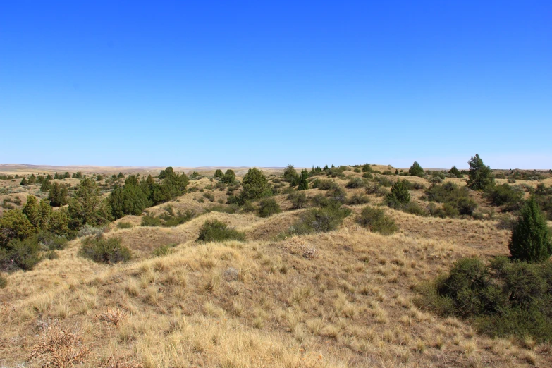 the fields are covered with brown grass and shrubs