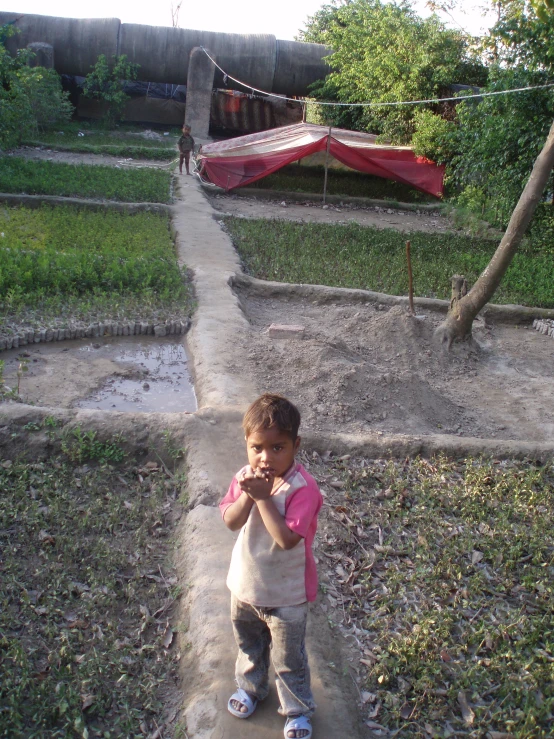 there is a small  standing on a walkway in the yard