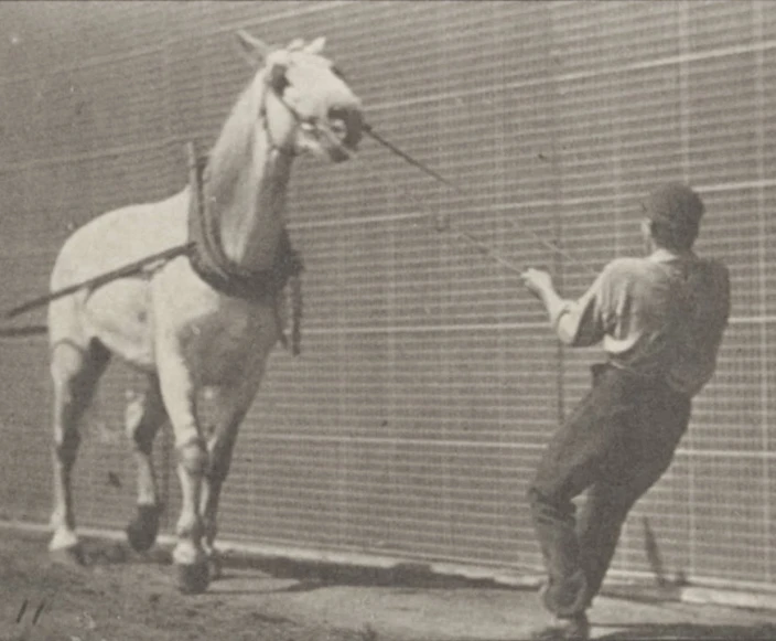 this is an old picture of someone in uniform petting a horse