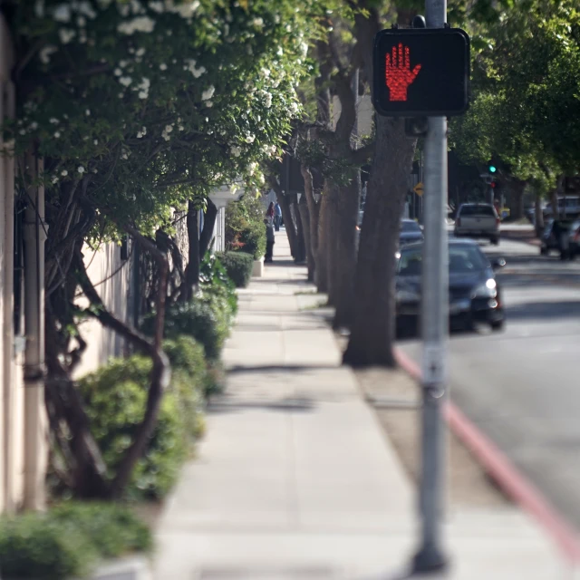 a street with some trees and cars on it