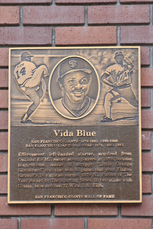 a plaque on a brick wall reads, vidal blue