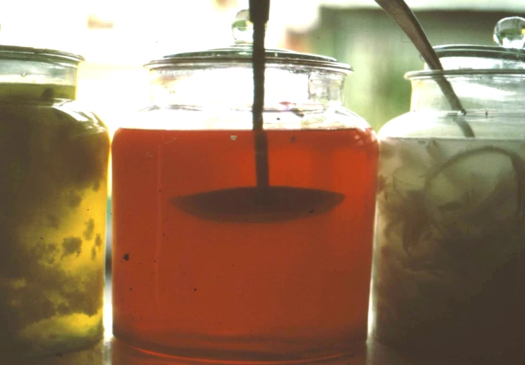an image of three jars filled with liquid